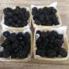 Berry Baskets Berry Baskets